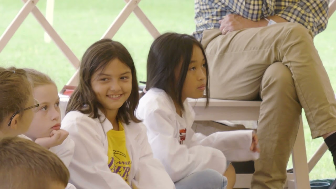 The Witch and the Wizard - Tales From the Edge of Town