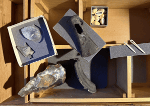 A wooden treasure box containing tools are artefacts from the days of cavemen