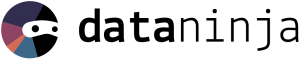dataninjalogolettering